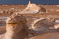 Western White Desert
