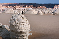 Western White Desert