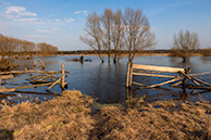 Весенний разлив в Филиповском