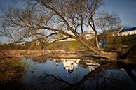 Боголюбово