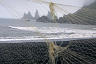 Вик/Пальцы тролля