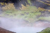 Долина гейзеров/Hveragerdi