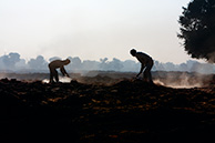 Кирпичный завод