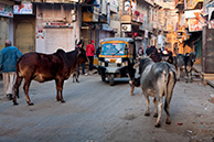 Джайсалмер