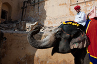 Джайпур - форт