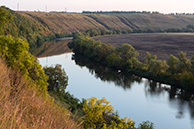 Красивая Меча