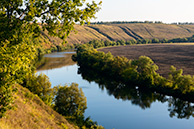 Красивая Меча