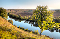 Красивая Меча