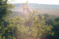 Лето на Красивой Мече