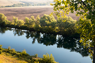 Красивая Меча