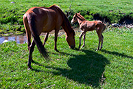 Григорьевское ущелье