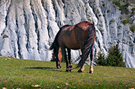 Григорьевское ущелье