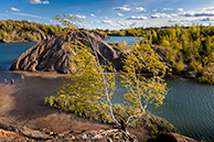 Цепкие берёзки Кондуков