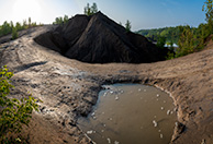 Кондуки летним утром