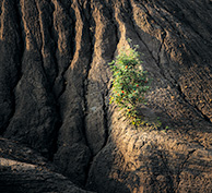 Кондуки, Тульская область