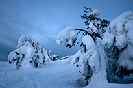 Хибины зимой, Rukka