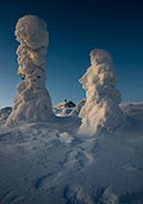 Ёлки Вальтаваара