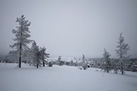 Зимняя тишина