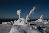 Заповедник Riisitunturi