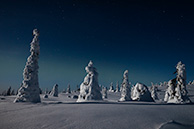 Заповедник Riisitunturi ночью, полярное сияние