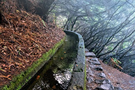 Левада 25 фонтанов