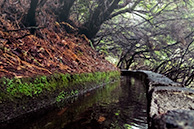 Левада 25 фонтанов