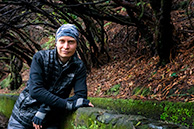 На леваде 25 фонтанов