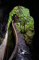 Riberio Frio Levada