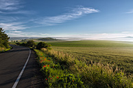 Foggy sunrise at Zeletice