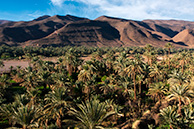 Tamnugalt dates valley