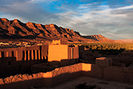 Tamnugalt dates palm valley