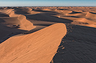 Sahara
