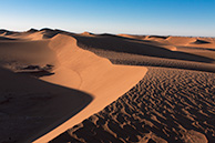 Sahara morning