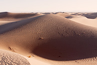 Sahara