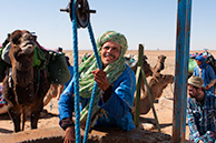 Camels watering in Sahara