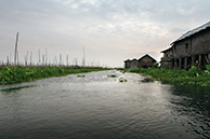 Inle