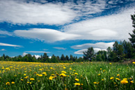 На границе Норвегия/Швеция