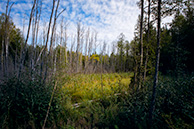 Вокруг Плещеева озера 2019