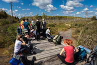 Вокруг Плещеева озера 2019, привал на болоте