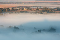 Пронские туманы