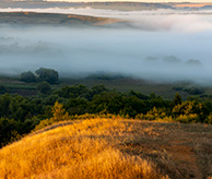 Пронские холмы