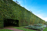 Edinburgh botanic garden