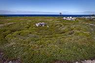 Остров Заяцкий, лабиринт