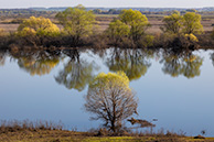 Старица Оки в Мурмино весной