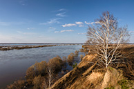 Разлив Оки у Фатьяновки