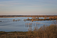 ВИд на Рязань из Пощупова: половодье на Оке