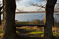 В Пощуповской дубраве