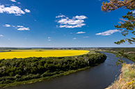 Кривоборье, Воронежская область
