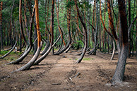 Шиловская аномалия