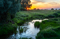 На реке Солотча